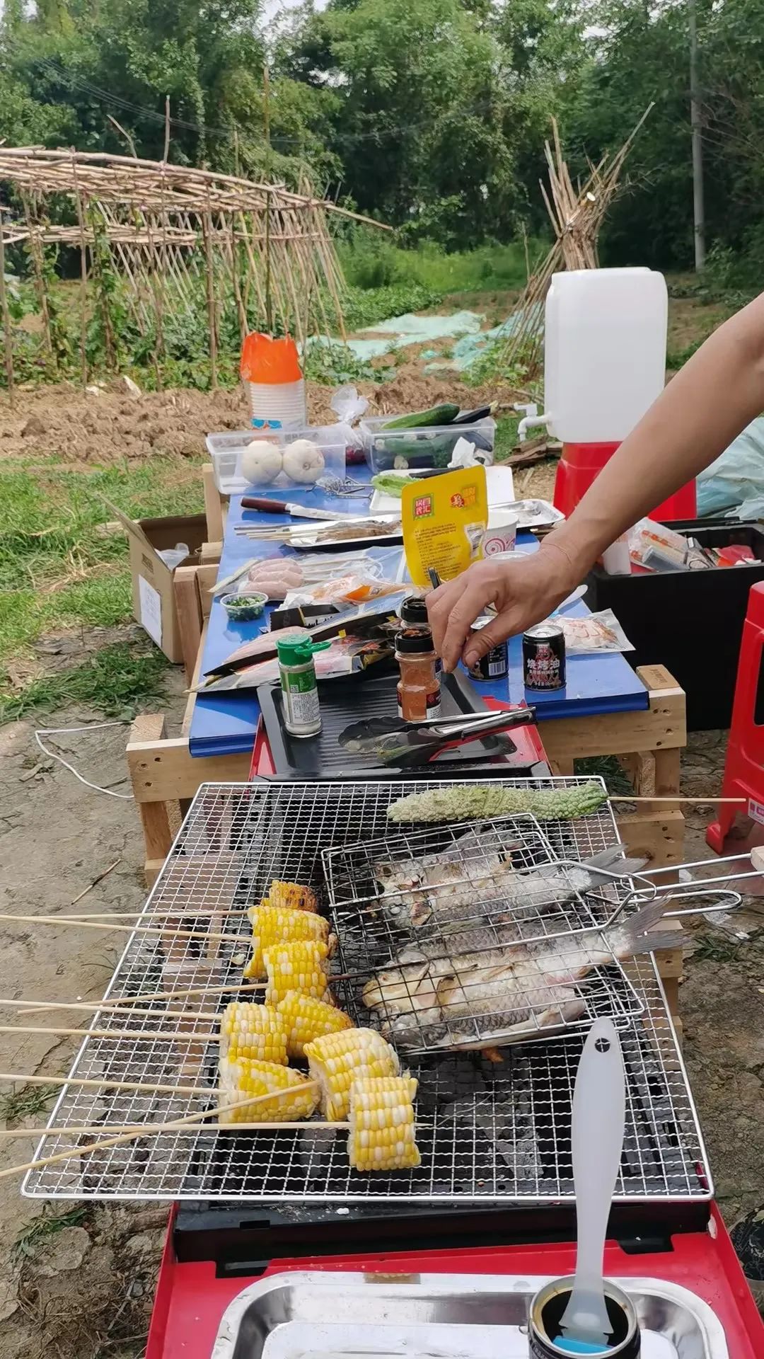 圖片